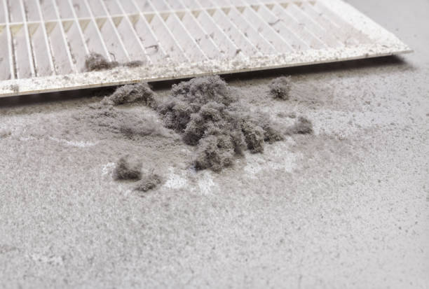 Best Air Duct Cleaning Company Near Me  in Hubbard, TX