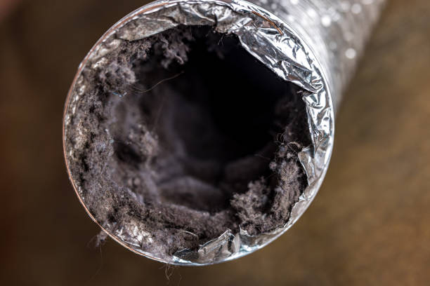 Best Air Duct Cleaning Near Me  in Hubbard, TX